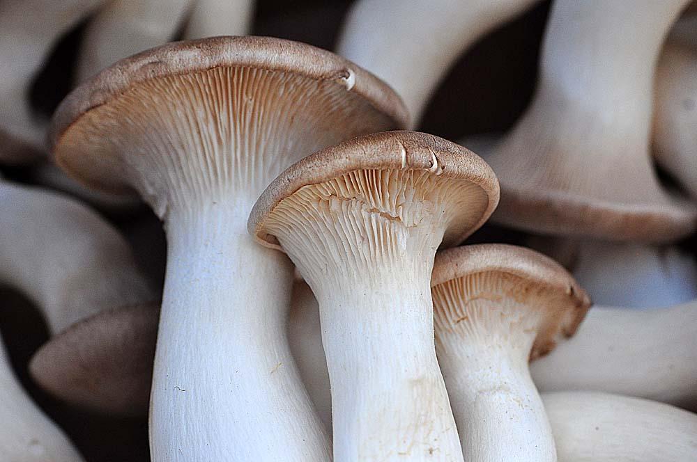 Gallery Test Splashpad News