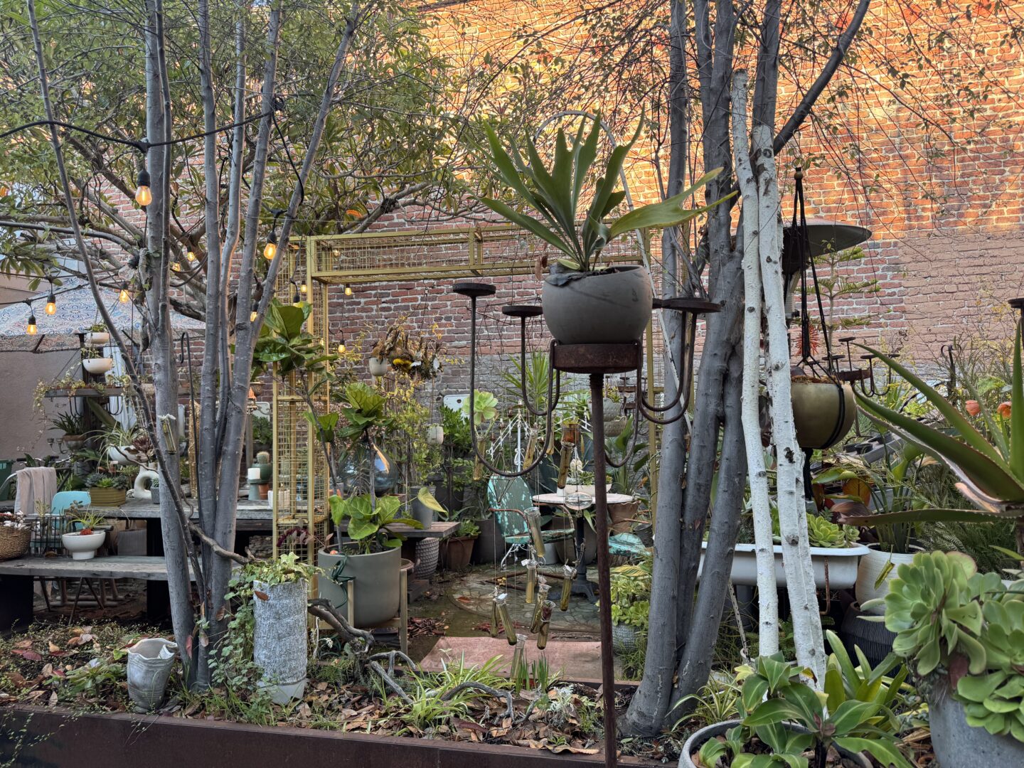 Trees and plants