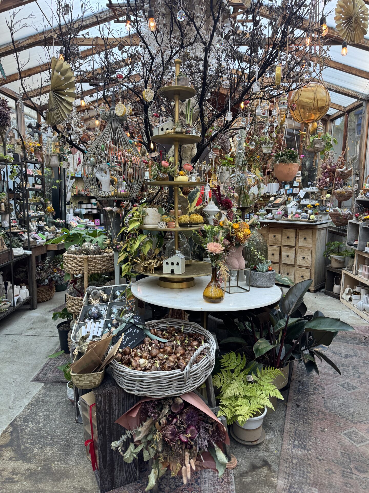 Plants and knickknacks hung high