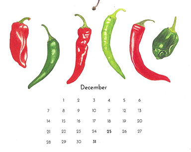 Calendar page with green and red chiles
